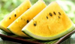 各种吃瓜网红精品小说,网红小说中的美食与爱情盛宴