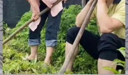 娱乐八卦一定吃瓜群众,揭秘“吃瓜群众”的八卦盛宴